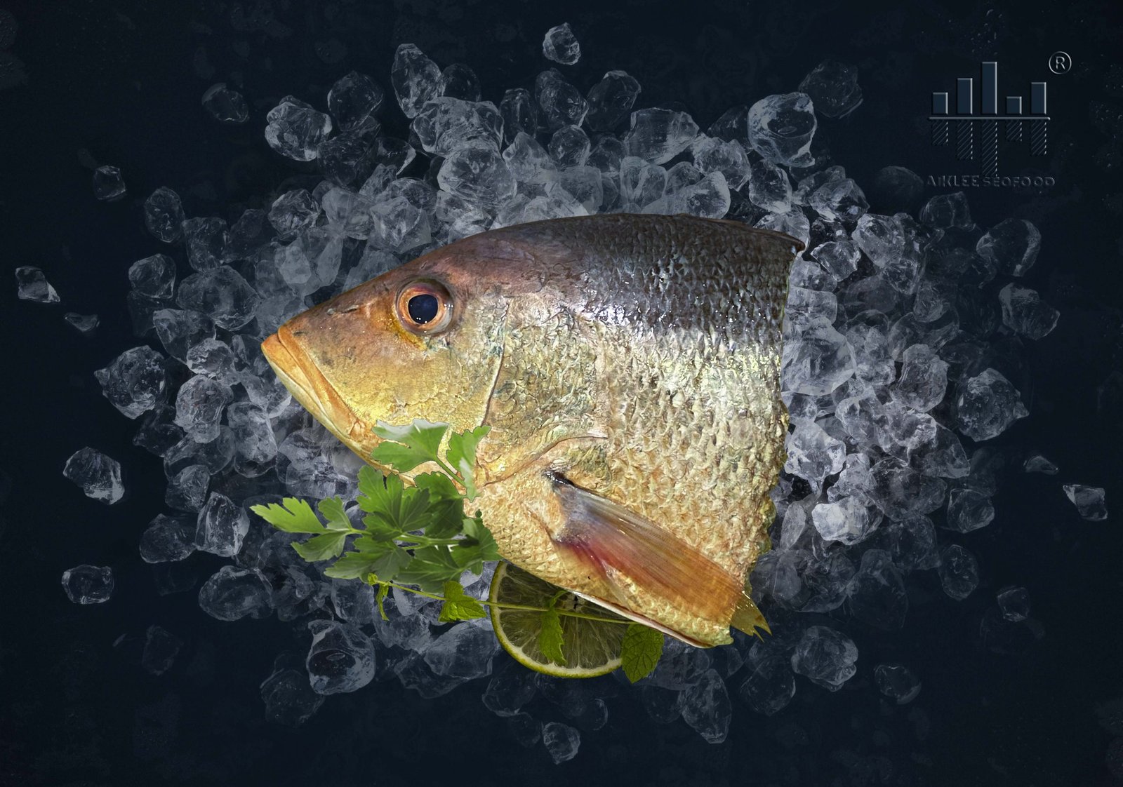 [AIKLEE] FRESH Red Snapper Fish Head 红鸡鱼头 (1kg) [SEAFOOD] ⋆ Aiklee Seafood