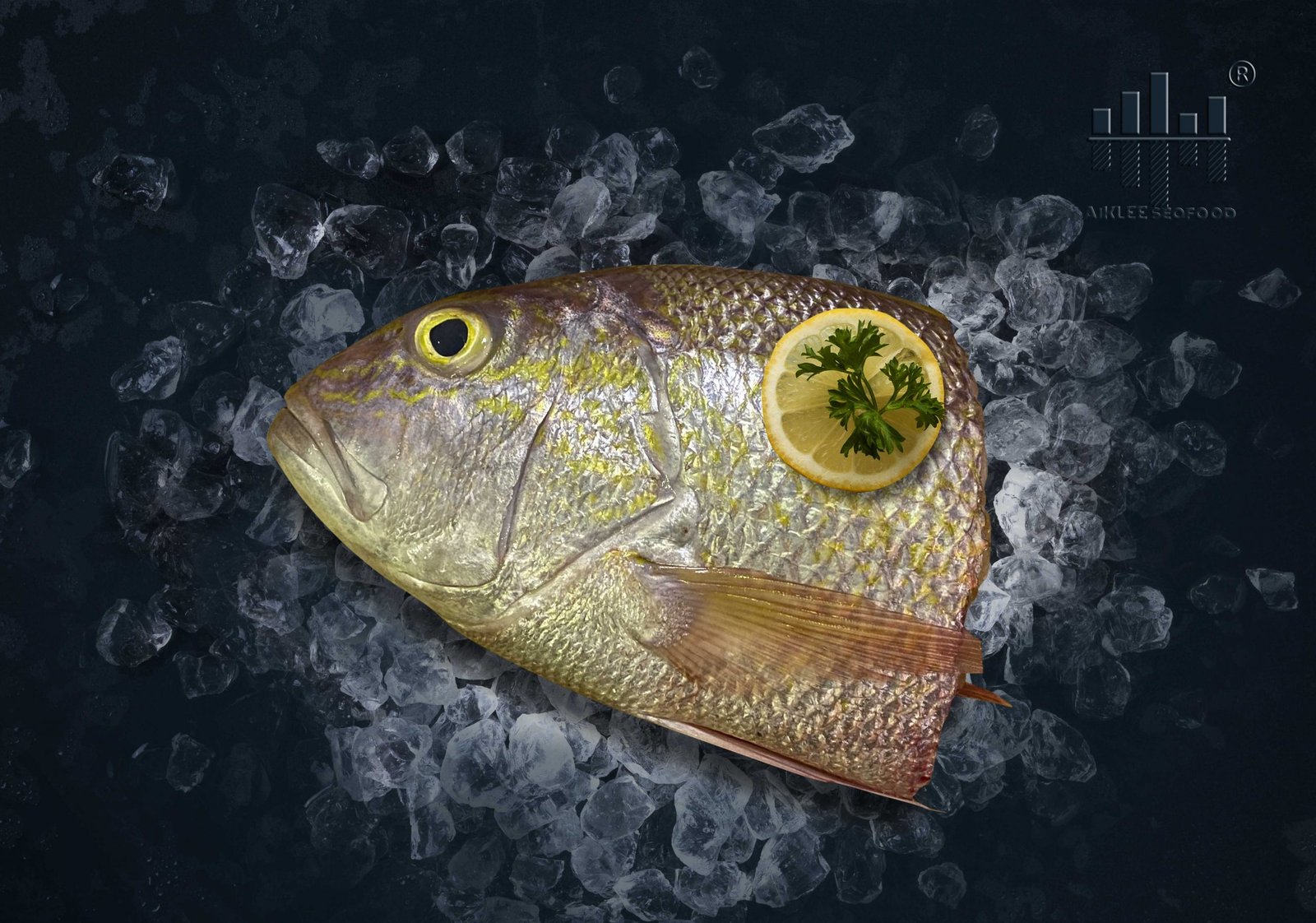 [AIKLEE] FRESH Ang Kor Li Fish Head 红哥里鱼头 (1kg) [SEAFOOD] ⋆ Aiklee Seafood