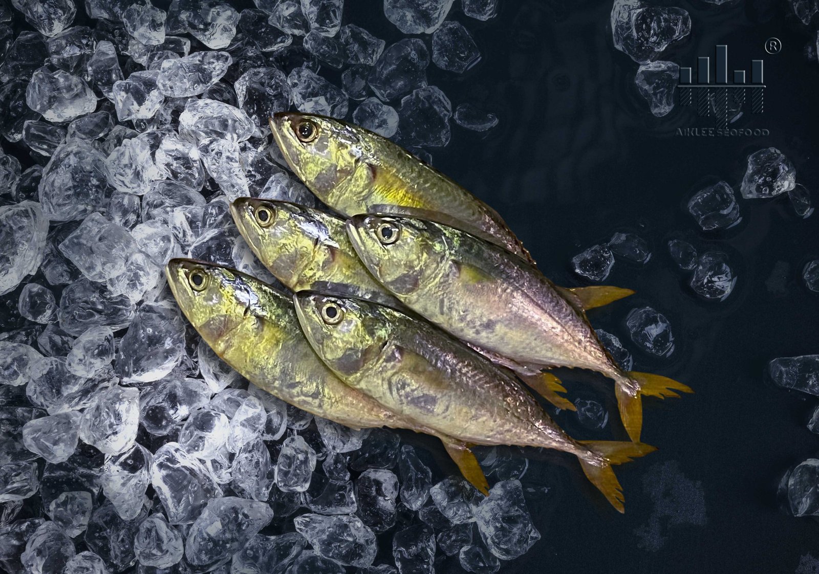 [AIKLEE] FRESH Batu Fish / Ikan Batu 巴土鱼 (1kg) per pack [SEAFOOD] ⋆ ...