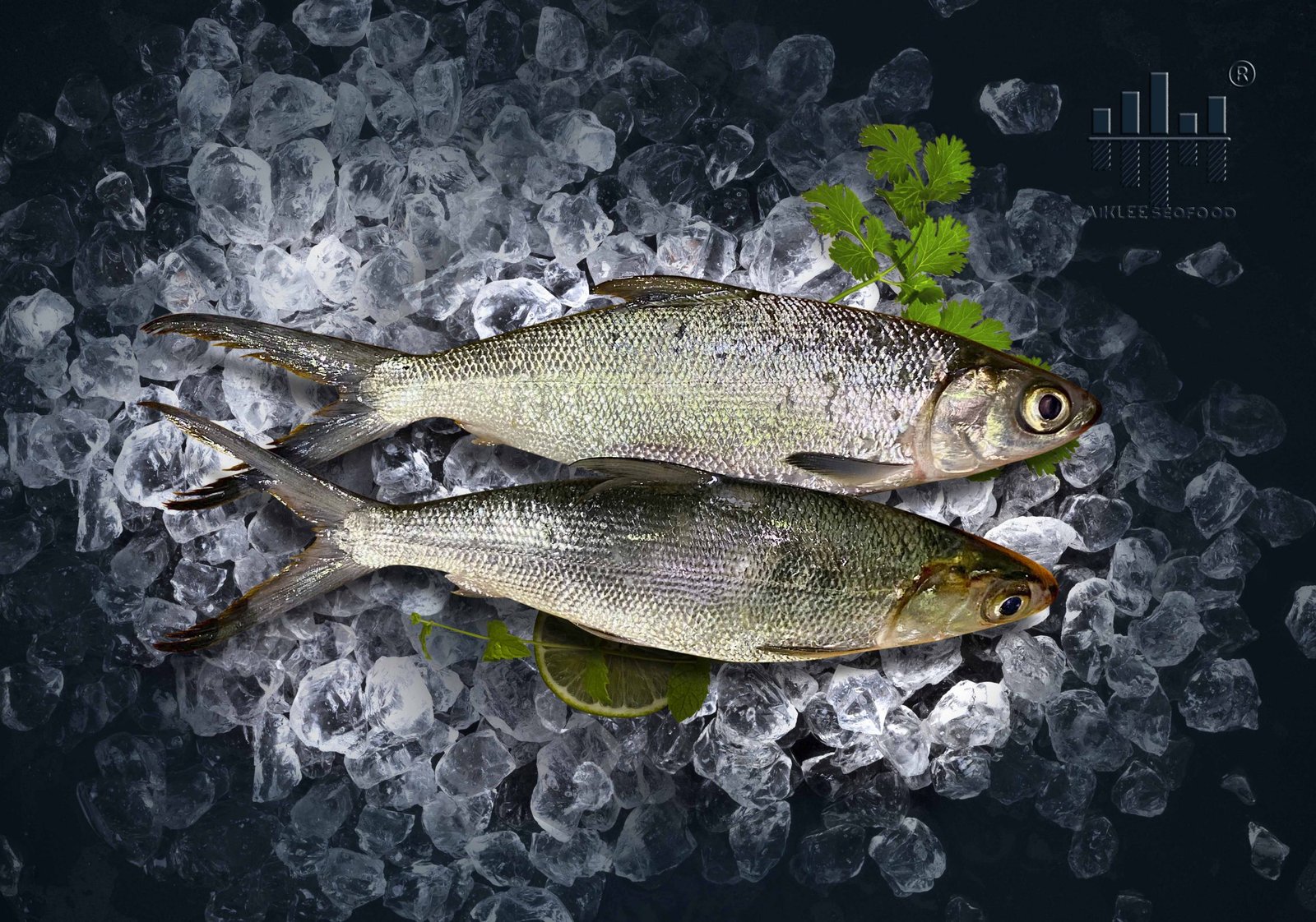 [AIKLEE] FRESH Milkfish / Bandeng 牛奶鱼 / 虱目鱼 (1kg) 2pcs [SEAFOOD] ⋆ ...